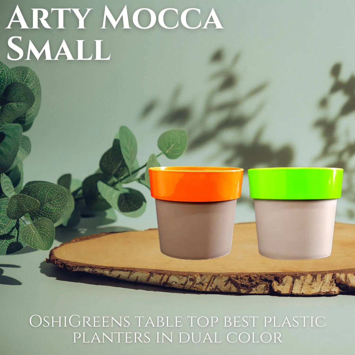 Arty Mocca Small