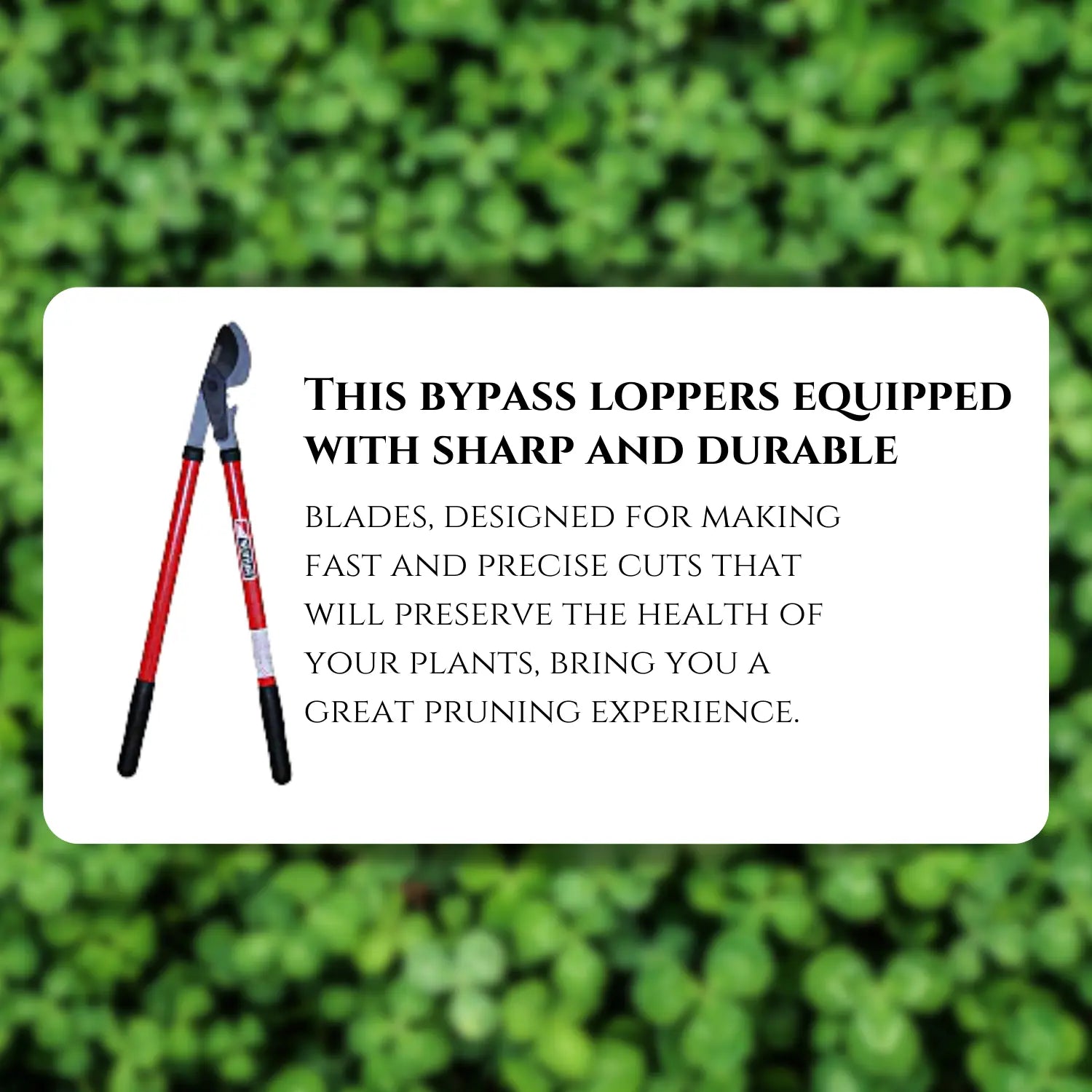 Bypass Lopper with Compound Action, Professional Bypass Lopper, Tree Trimmers Secateurs with Shock Absorbing Effort-Saving Handle Garden Lopper - Pruning Tool