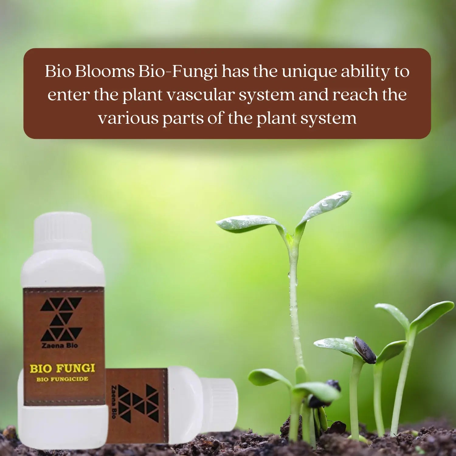 Bio Fungi Organic and Natural Bio Pesticide