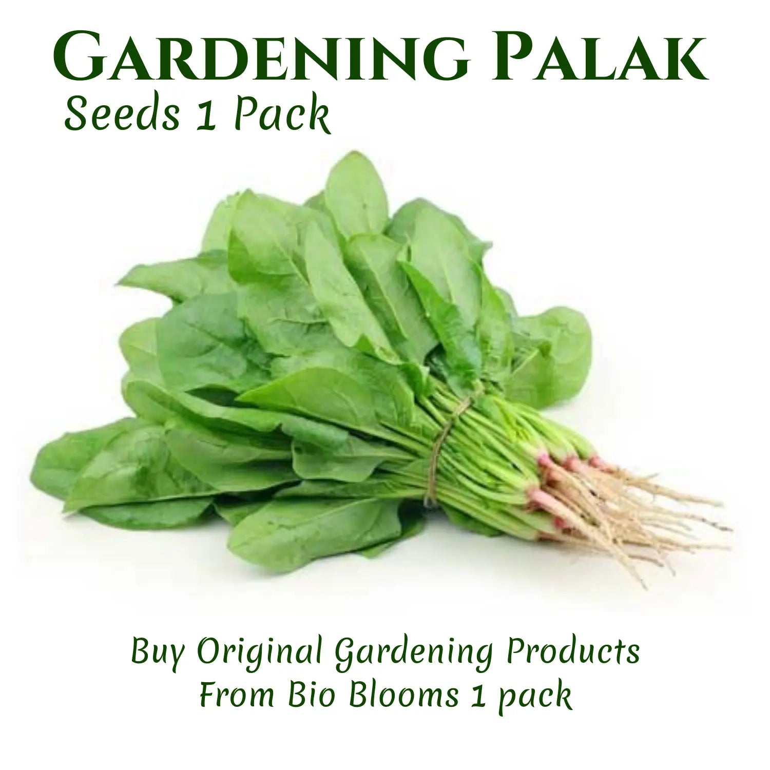 Gardening Palak Seeds 1 Pack