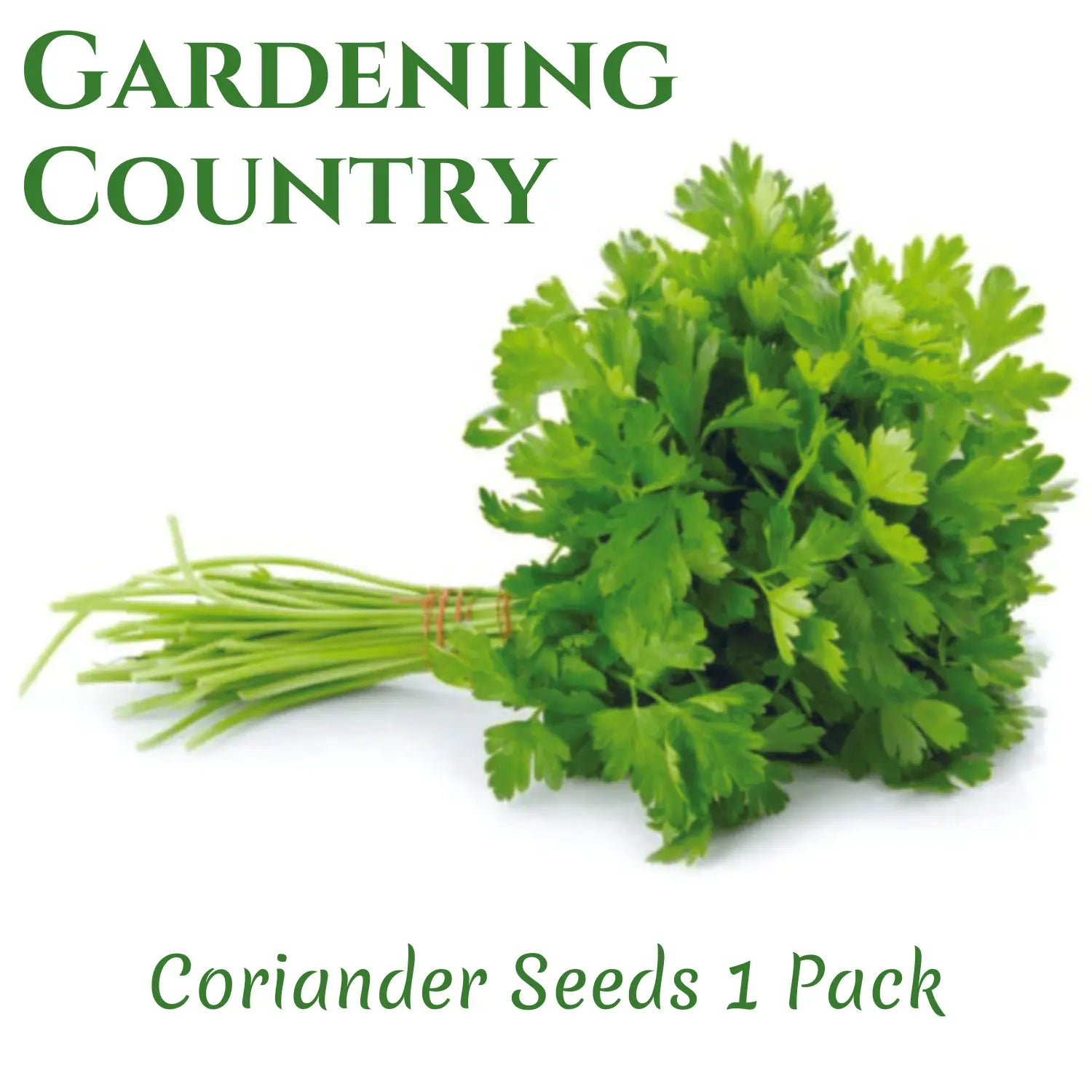 Gardening Country Coriander Seeds 1 Pack