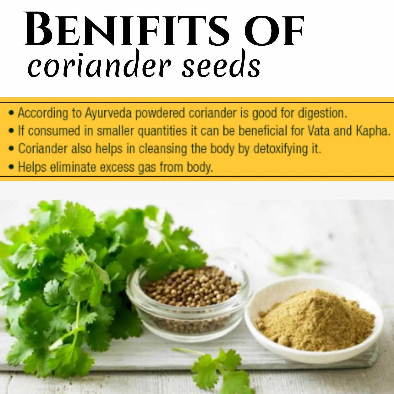Gardening Country Coriander Seeds 1 Pack
