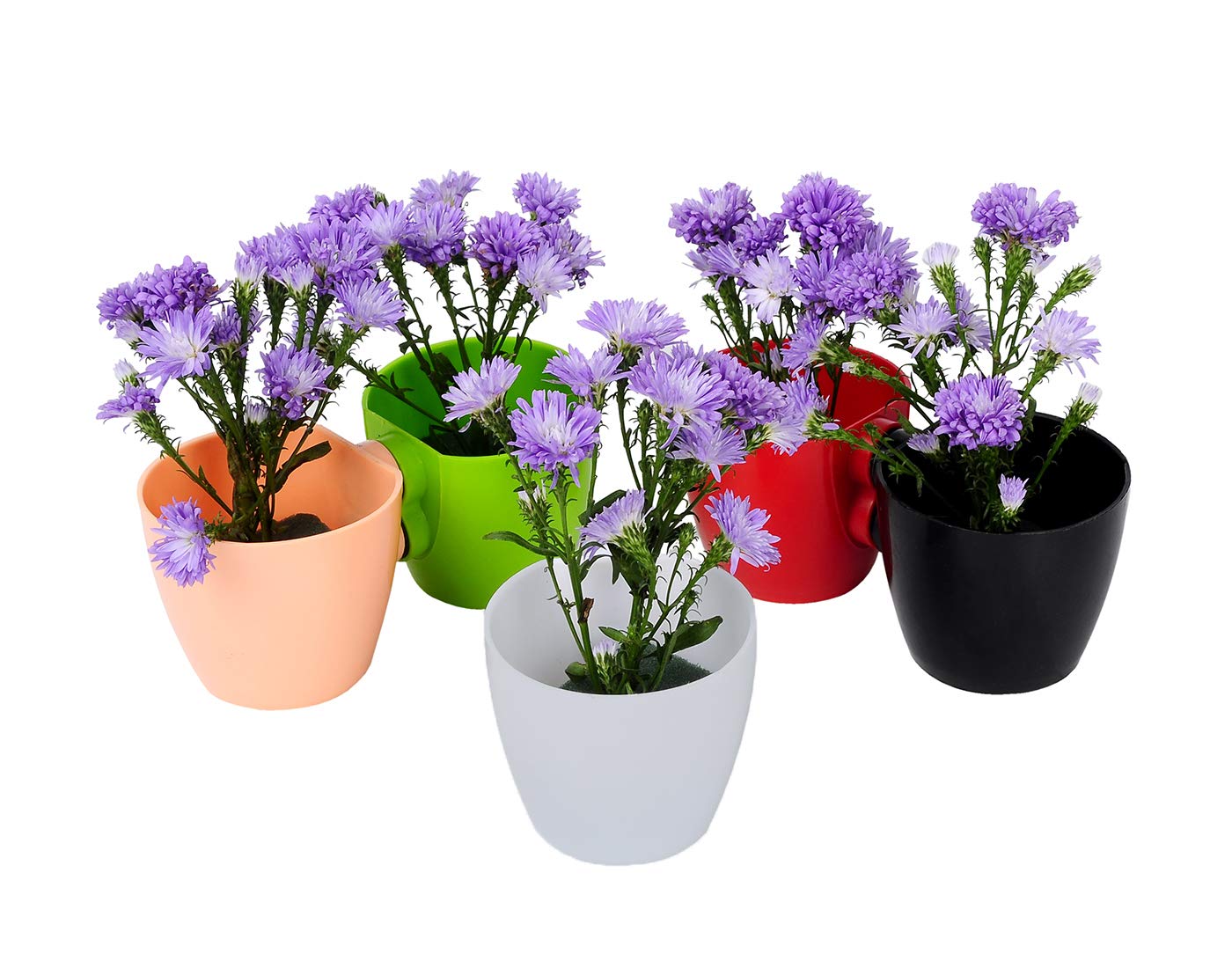 Magnetic Multicolour small size Flower Pots with Strong Magnets for Indoor Decoration on Fridges, Cupboards, Closets Set of 5