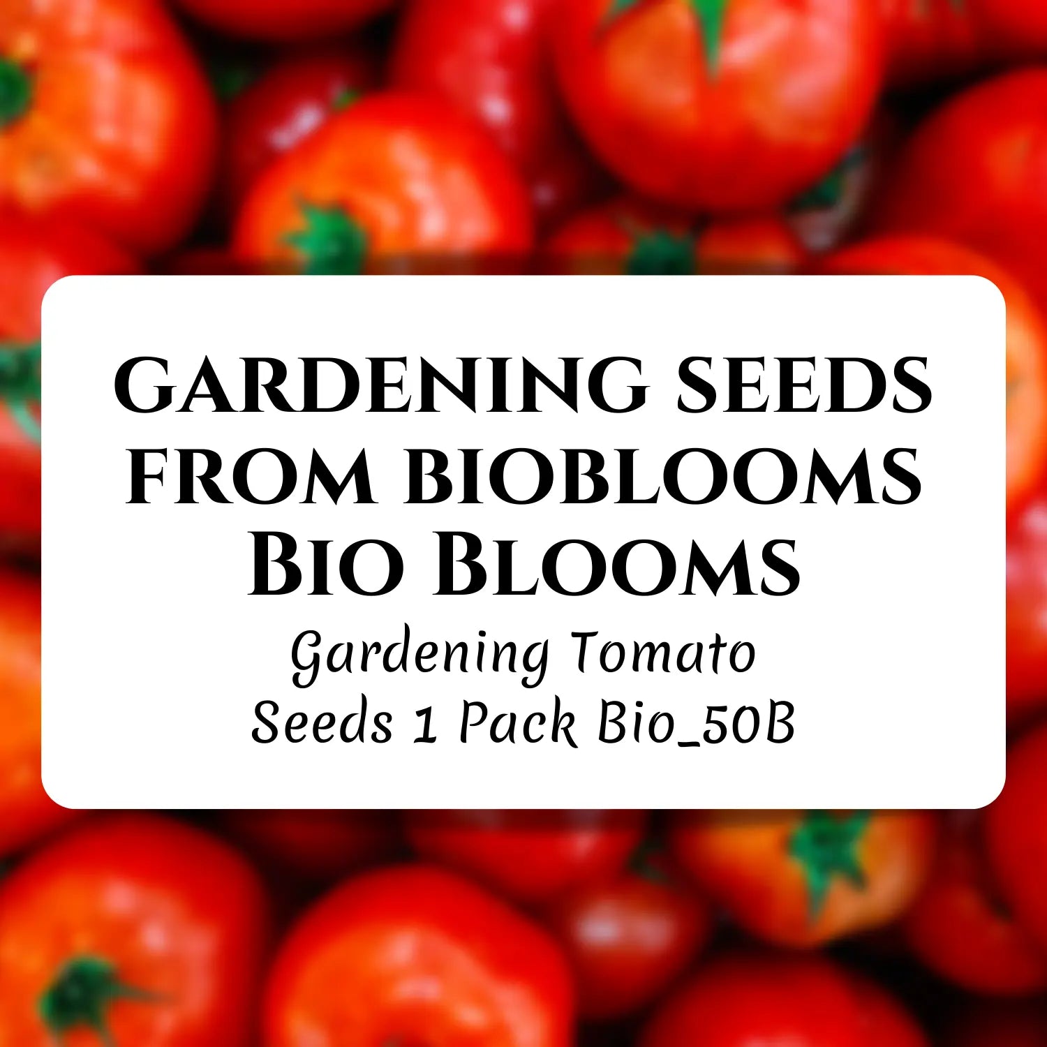 Gardening Tomato Seeds 1 Pack