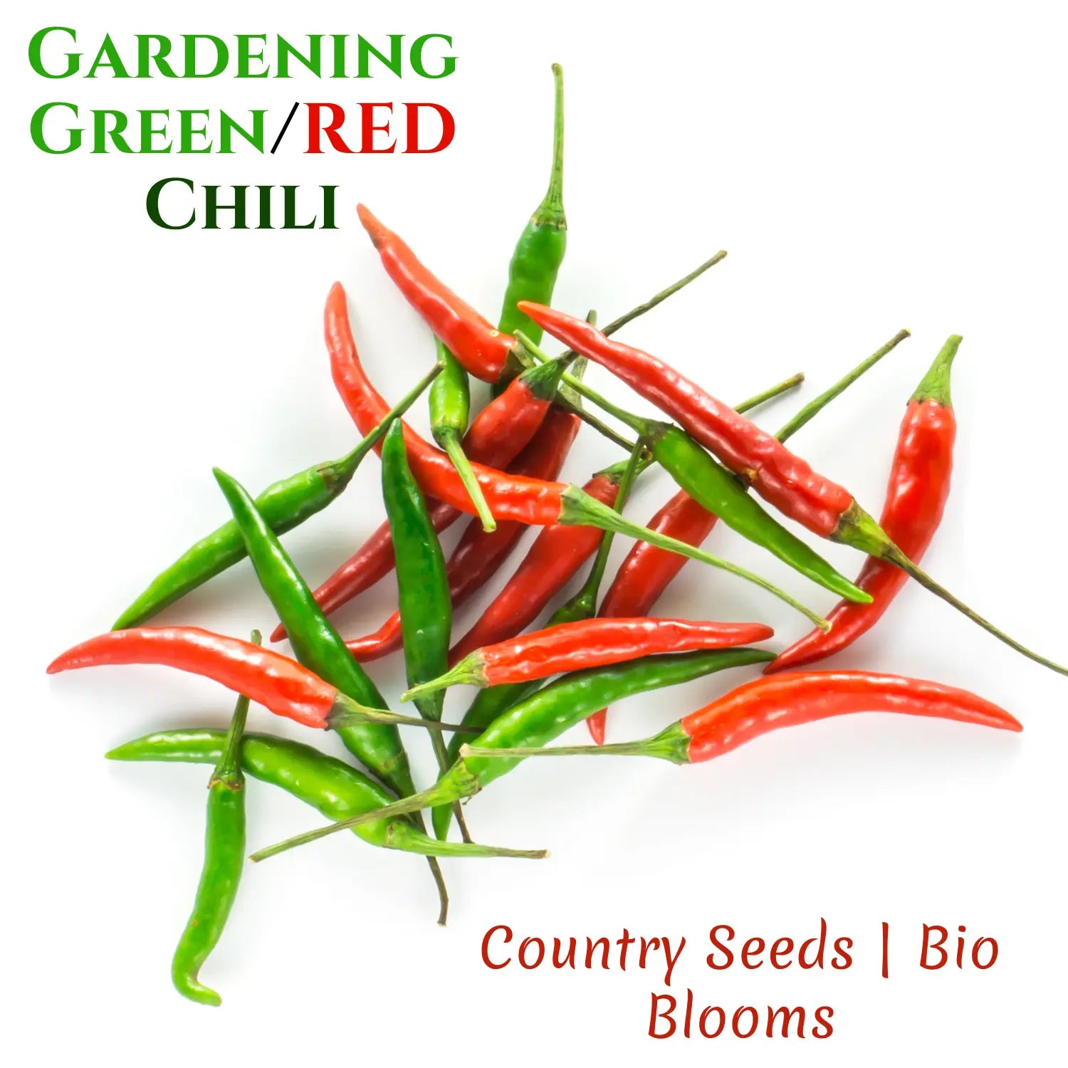 Gardening Green/RED Chili Country Seeds