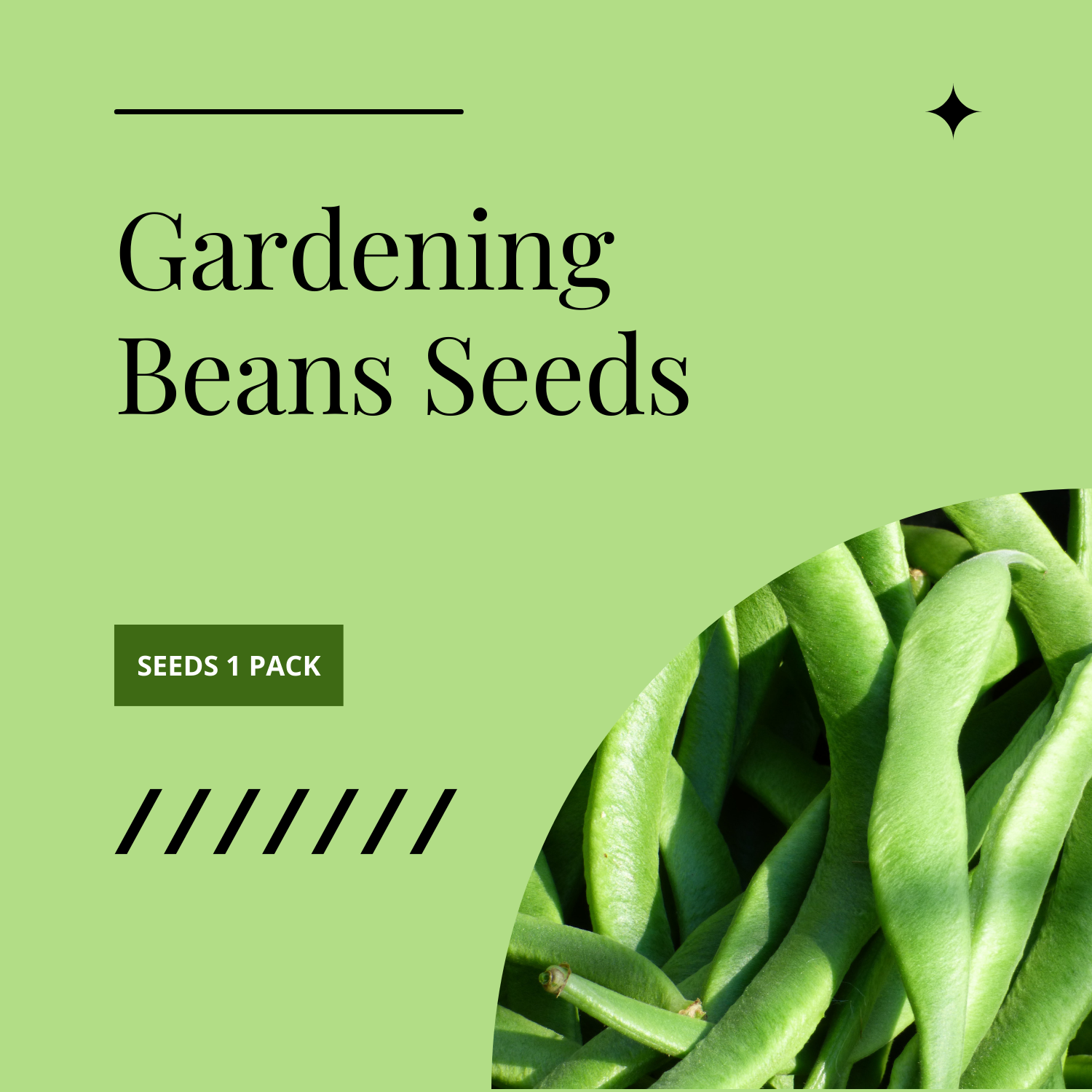 Gardening Beans Seeds 1 Pack