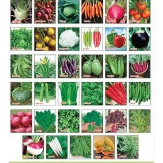20 packs of Easy Vegetables seeds