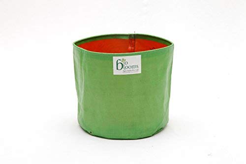 BIO BLOOMS