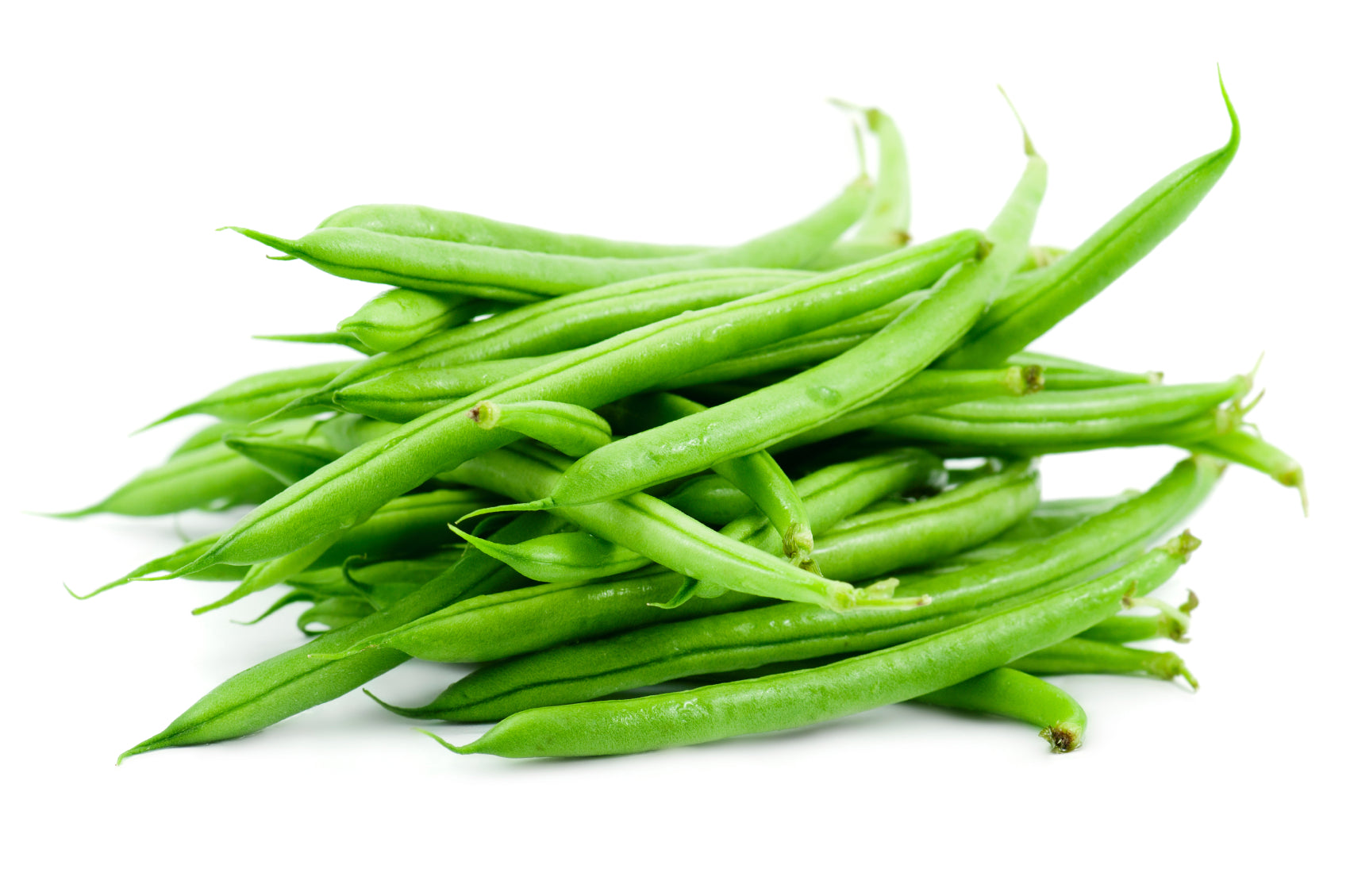 Gardening Beans Seeds 1 Pack