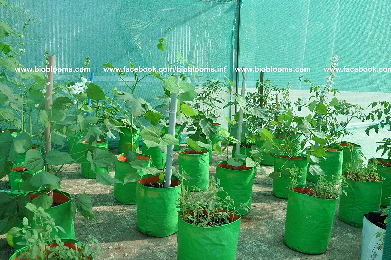 Terrace Garden Vegetable Growing kit. vege Grow Bags - 20 pcs, Spinach Grow Bags- 10pcs, shadenet 10 x10 feet, 10 Seed Packs
