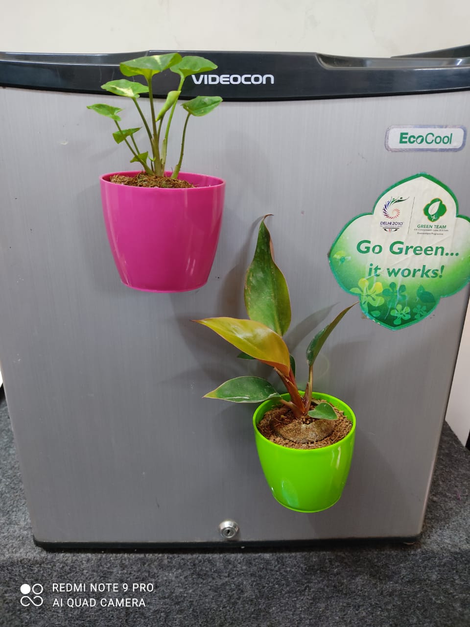 magnetic plant pots for fridge Magnetic Multicolour Medium size Flower Pots with Strong Magnets for I – biobloomsshop