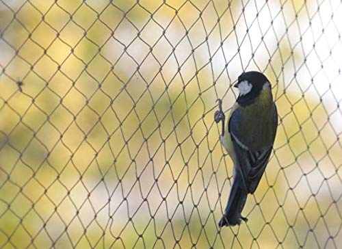 Anti Bird Net,White Color Nylon mesh and (3 mt X 3mt Size)