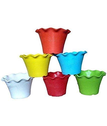 Blossom Flower Pots  (4 Inch Pack of 5)