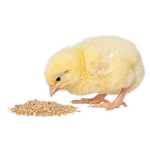Poultry Food for Young Chicks 0 to 6 Weeks 1 sack/ 50KG