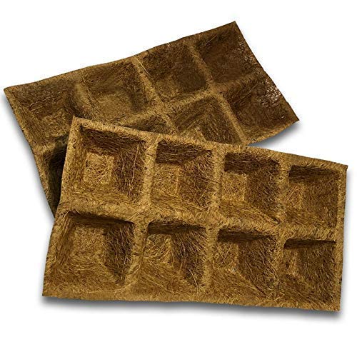 Coir Seedling Tray, Pro Tray, Seed Germination Tray with 8 Cavity (Set of 5 Pcs)
