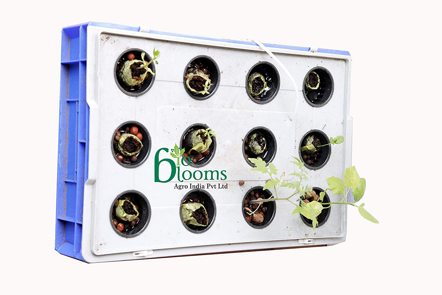 Hydroponics Starter Crate, Netted pots, Coir Coins, Seeds, Air Pump, Nutrients, Video DVD Manual Kit