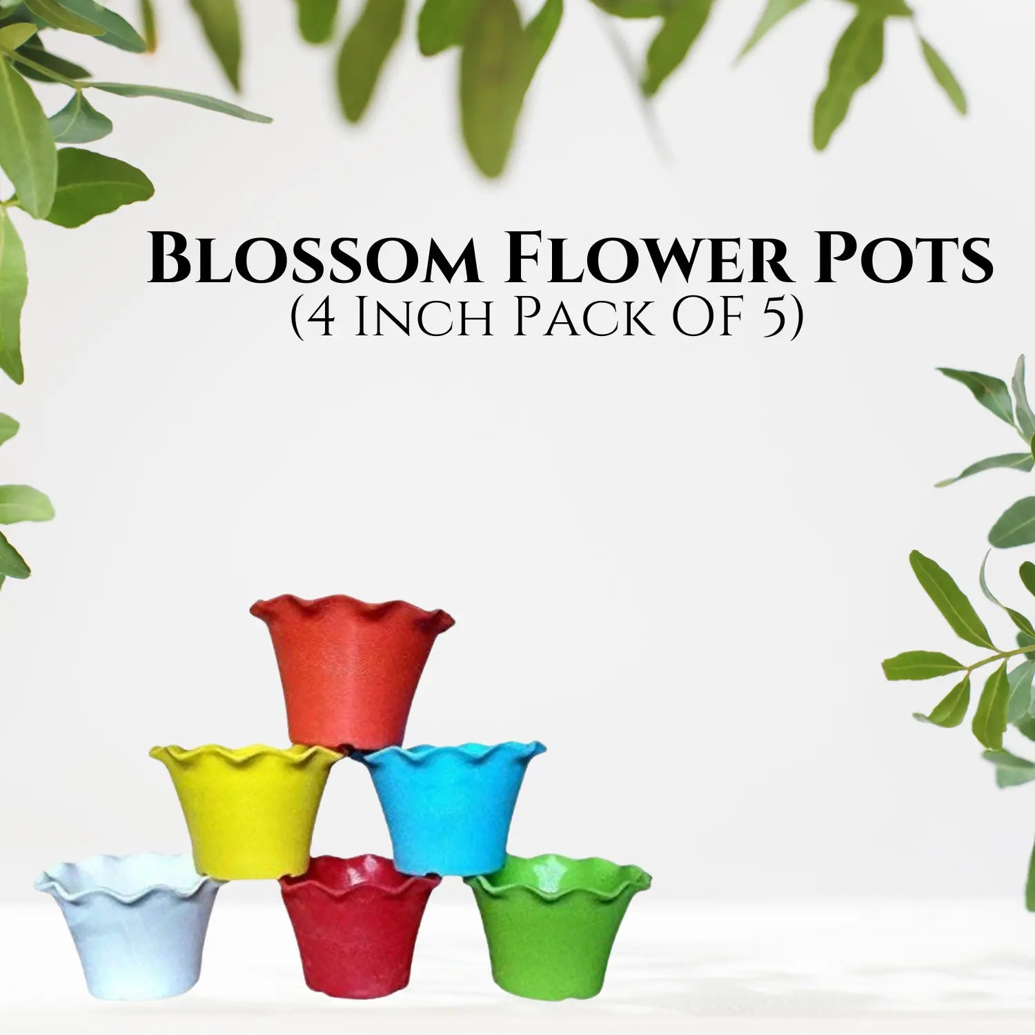 Blossom Flower Pots  (4 Inch Pack of 5)