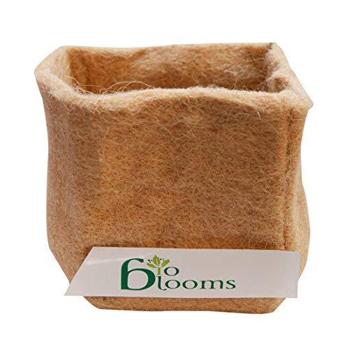 Jute Grow Bags for Roots, 5 x 5 inches set of 4 bags