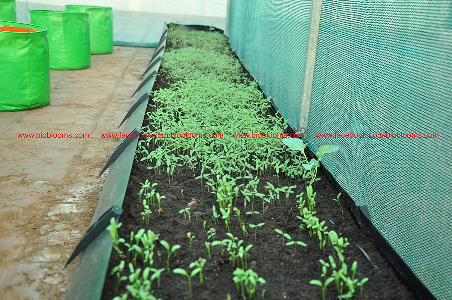 Gardening Soil Less Trough With Supporting Clips 17X40X17 Cms X 3 Meters