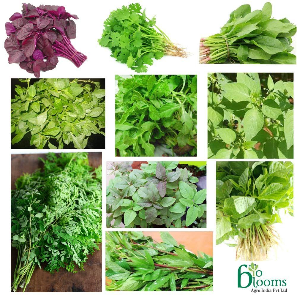 7 Packets Of Spinach Seeds