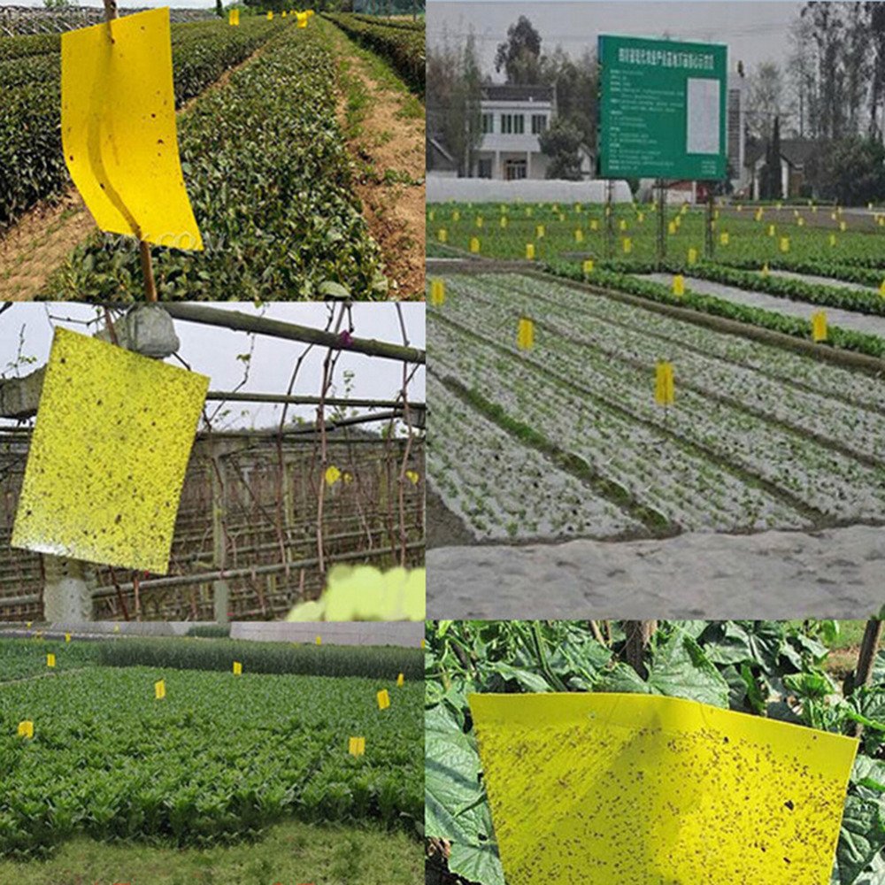 Gardening Yellow Sticky Fly Traps Paper Stickers for Whiteflies, Aphids, Fungus Gnats and Leaf Miners - Pack of 10